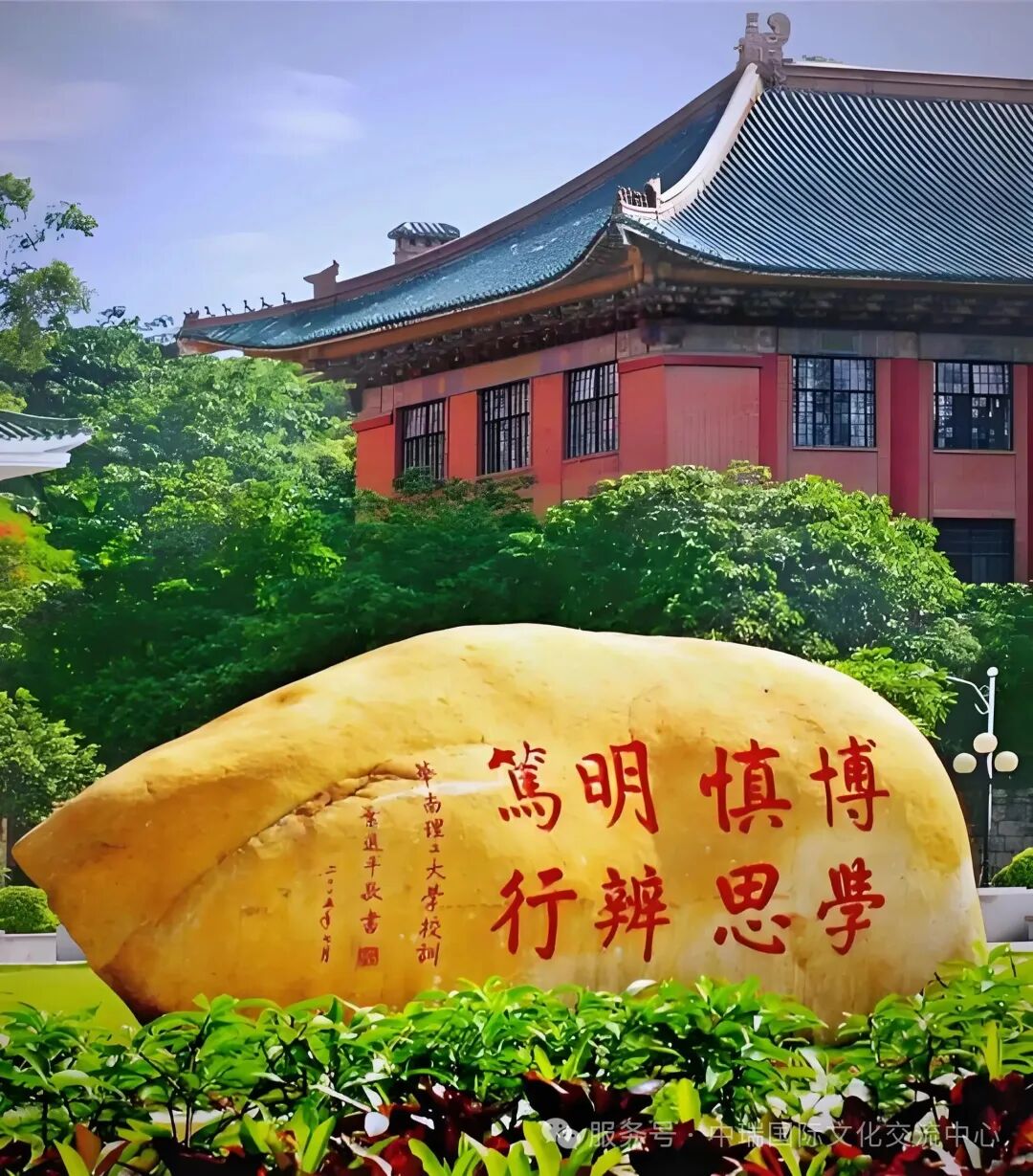 1775533375320947.jpg 4.jpg